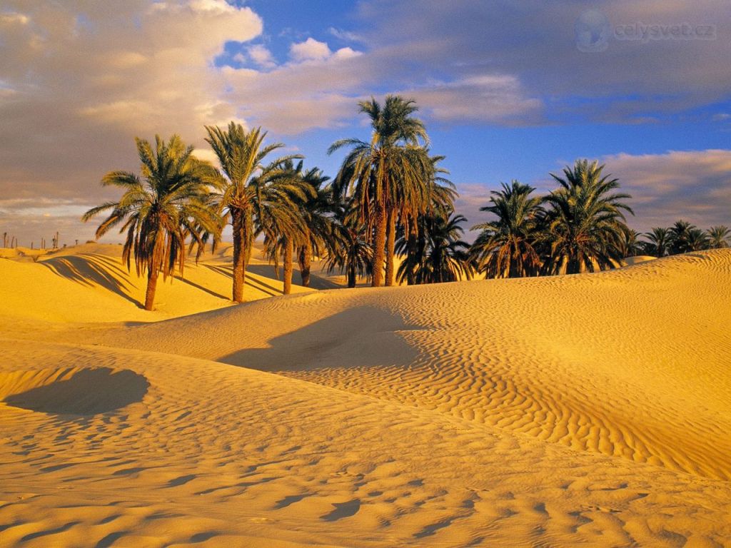 "Hidden Paradises: The Miraculous World of Desert Oases"